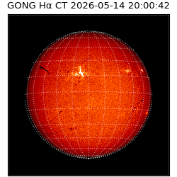 gong - 2026-05-14T20:00:42