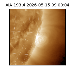 saia - 2026-05-15T09:00:04.842000