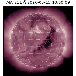 saia - 2026-05-15T10:00:09.622000