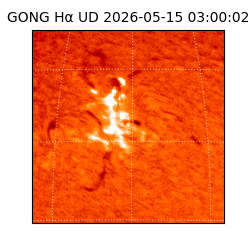 gong - 2026-05-15T03:00:02