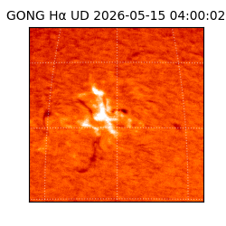 gong - 2026-05-15T04:00:02