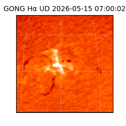 gong - 2026-05-15T07:00:02