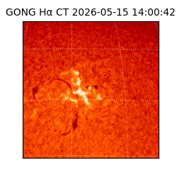 gong - 2026-05-15T14:00:42