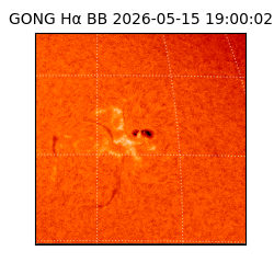 gong - 2026-05-15T19:00:02