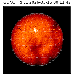 gong - 2026-05-15T00:11:42