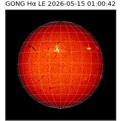 gong - 2026-05-15T01:00:42