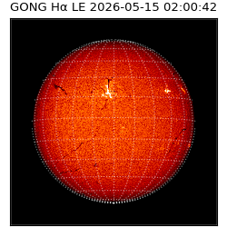 gong - 2026-05-15T02:00:42