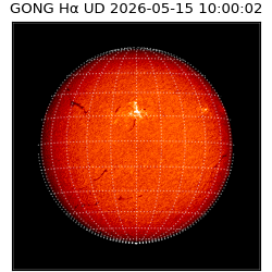 gong - 2026-05-15T10:00:02