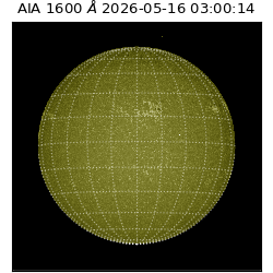 saia - 2026-05-16T03:00:14.123000