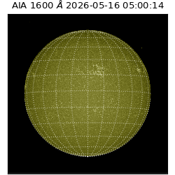 saia - 2026-05-16T05:00:14.123000