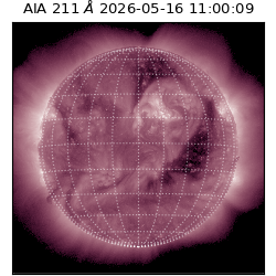 saia - 2026-05-16T11:00:09.636000