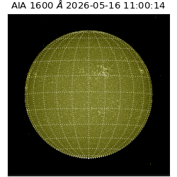 saia - 2026-05-16T11:00:14.124000