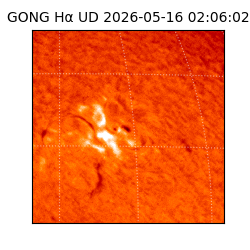 gong - 2026-05-16T02:06:02