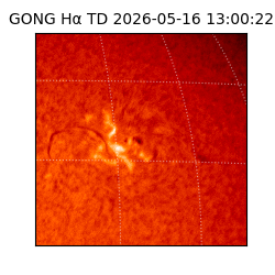 gong - 2026-05-16T13:00:22