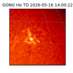 gong - 2026-05-16T14:00:22