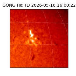 gong - 2026-05-16T16:00:22