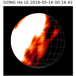 gong - 2026-05-16T00:16:42