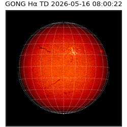 gong - 2026-05-16T08:00:22