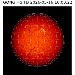 gong - 2026-05-16T10:00:22