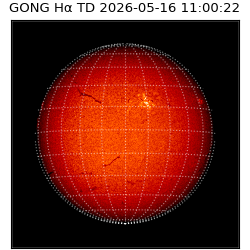gong - 2026-05-16T11:00:22