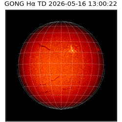 gong - 2026-05-16T13:00:22