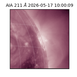 saia - 2026-05-17T10:00:09.623000