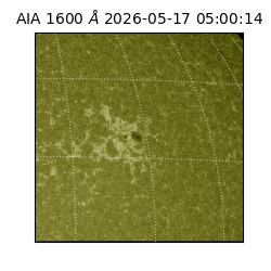 saia - 2026-05-17T05:00:14.123000