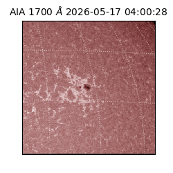 saia - 2026-05-17T04:00:28.717000