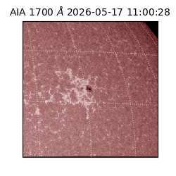 saia - 2026-05-17T11:00:28.717000