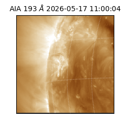 saia - 2026-05-17T11:00:04.843000