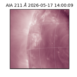 saia - 2026-05-17T14:00:09.623000