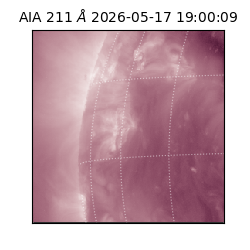 saia - 2026-05-17T19:00:09.622000