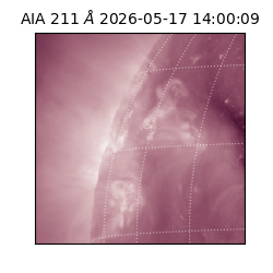 saia - 2026-05-17T14:00:09.623000