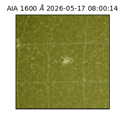 saia - 2026-05-17T08:00:14.123000