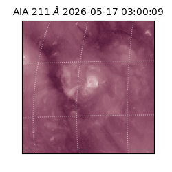 saia - 2026-05-17T03:00:09.623000
