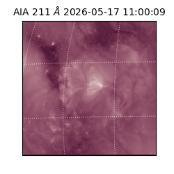 saia - 2026-05-17T11:00:09.620000