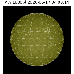 saia - 2026-05-17T04:00:14.123000