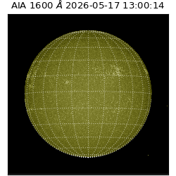 saia - 2026-05-17T13:00:14.122000