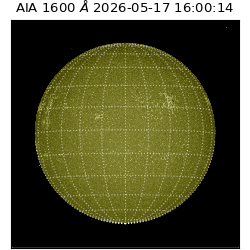 saia - 2026-05-17T16:00:14.123000