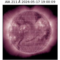 saia - 2026-05-17T19:00:09.622000