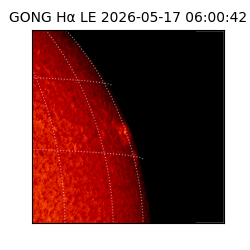 gong - 2026-05-17T06:00:42