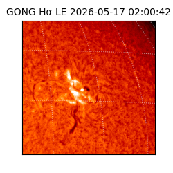 gong - 2026-05-17T02:00:42