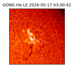 gong - 2026-05-17T03:00:42