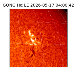 gong - 2026-05-17T04:00:42