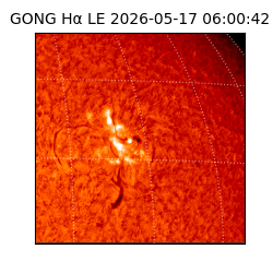 gong - 2026-05-17T06:00:42