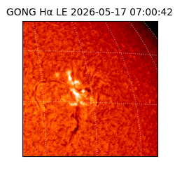 gong - 2026-05-17T07:00:42