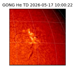 gong - 2026-05-17T10:00:22