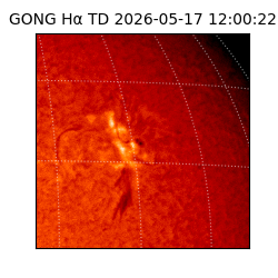 gong - 2026-05-17T12:00:22