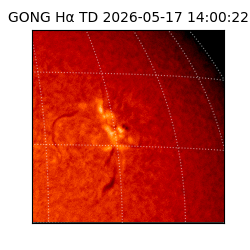 gong - 2026-05-17T14:00:22