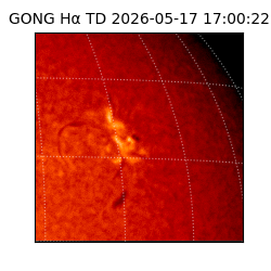 gong - 2026-05-17T17:00:22